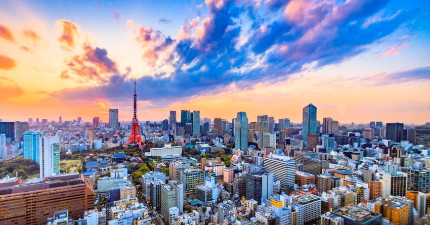 5 Crazy and Unusual Experiences in Tokyo