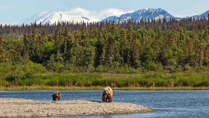 Photo of two bears, a lake, and mountains in Katmai National Park and Preserve