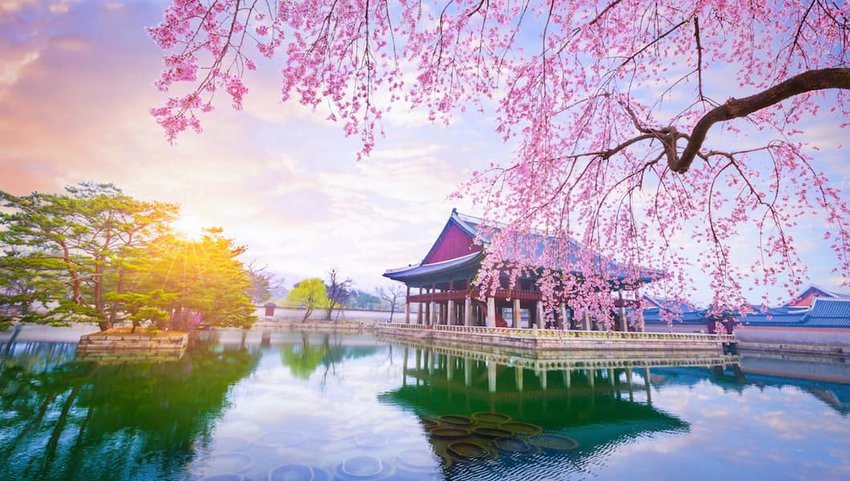 10 Photos of Seoul That Will Make You Want to Book a Flight