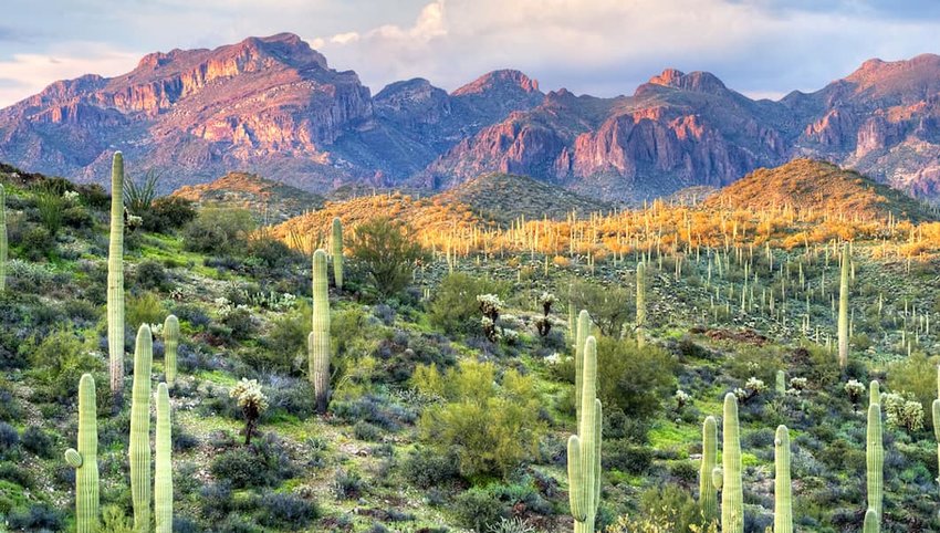 10 American Deserts You Should Know