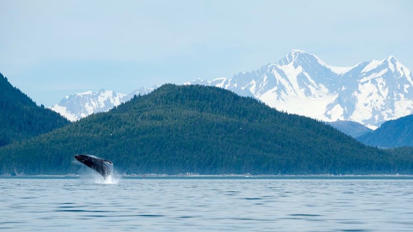 The Best U.S. National Parks to Visit in Spring