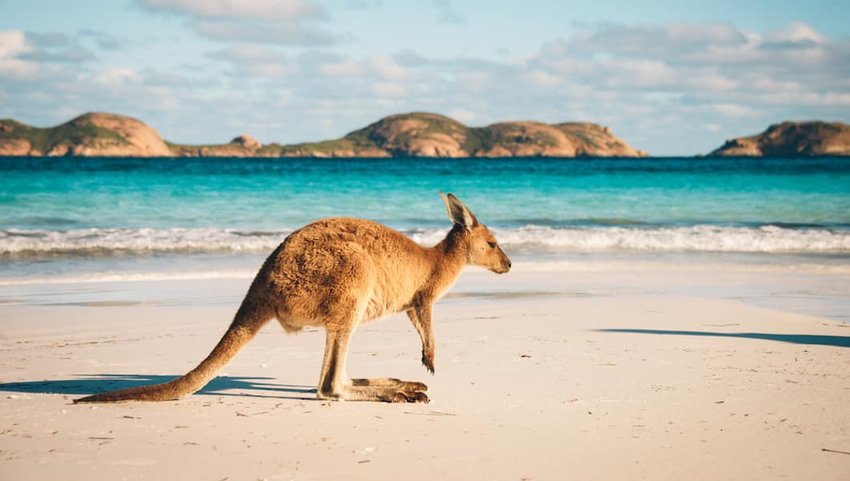 10 Things You Should Know Before Visiting Australia