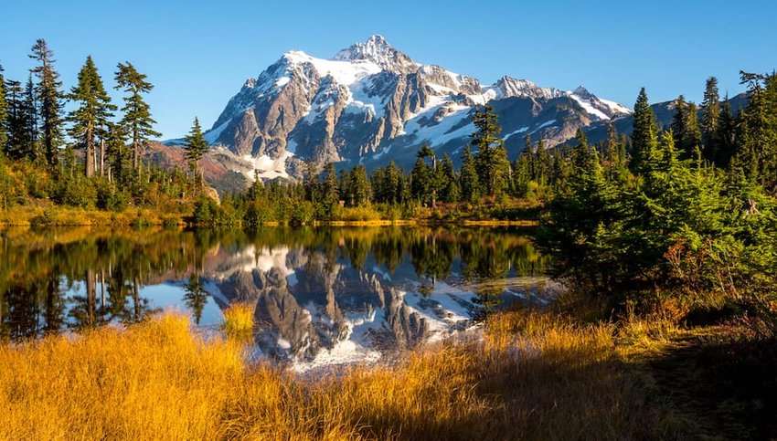 5 Breathtaking U.S. National Forests | The Discoverer