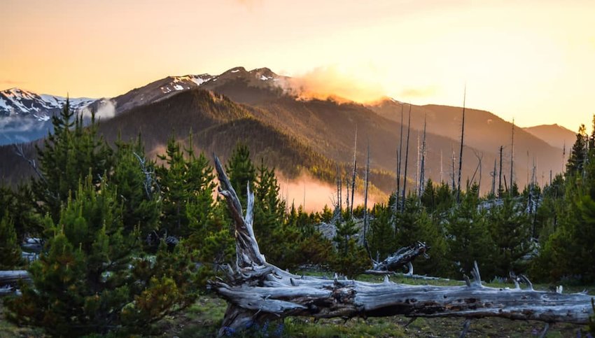 Photo of mountains in Olympic National Park