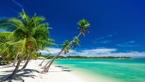 Palm trees over white beach on a a Plantation Island  Fiji - Burçlar ve tatil burcuna göre tatil beldeleri 2