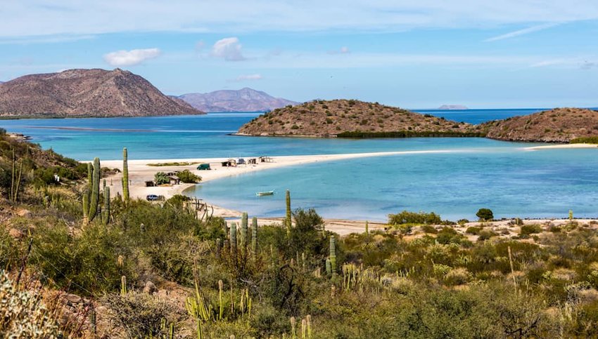 The Best of Baja California