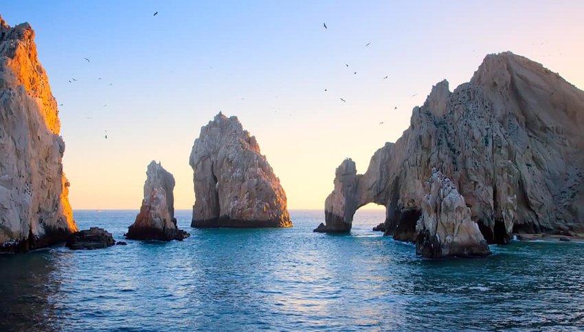 The Best of Baja California | The Discoverer