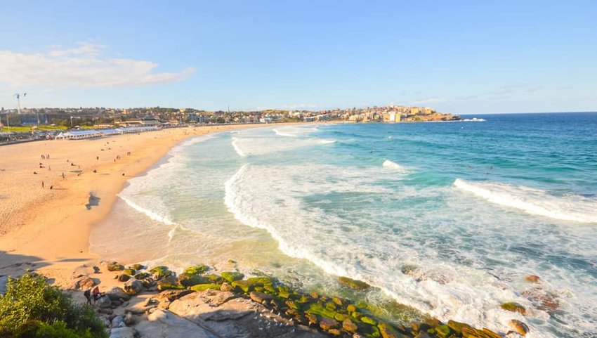 10 Best Beaches in Australia | The Discoverer
