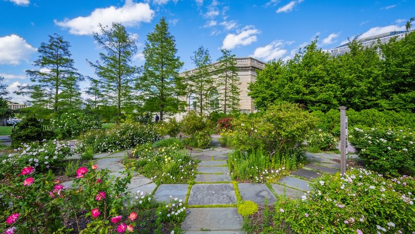 National Arboretum a green and grand oasis in the nation's capital