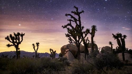 Dark Sky Parks? Here's Why You Need to Visit One