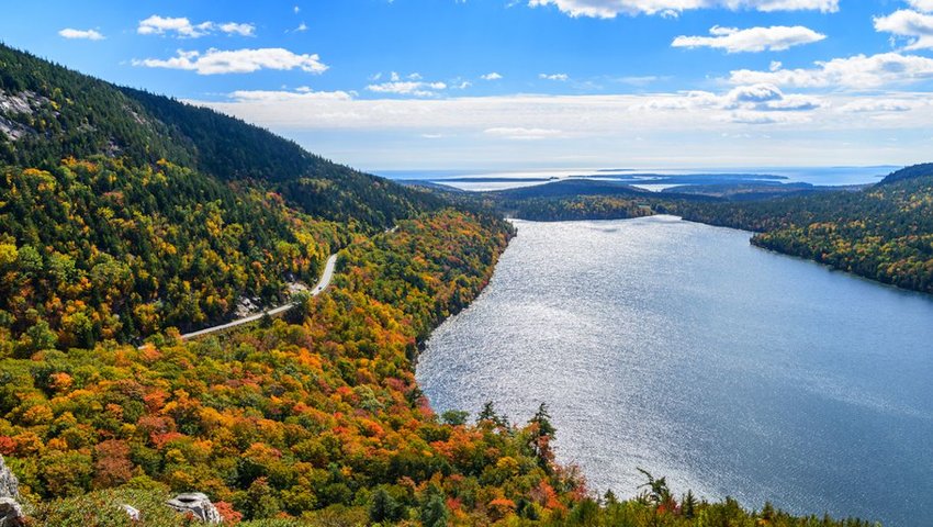 Photo of a road among autumn trees and beside a big blue lake