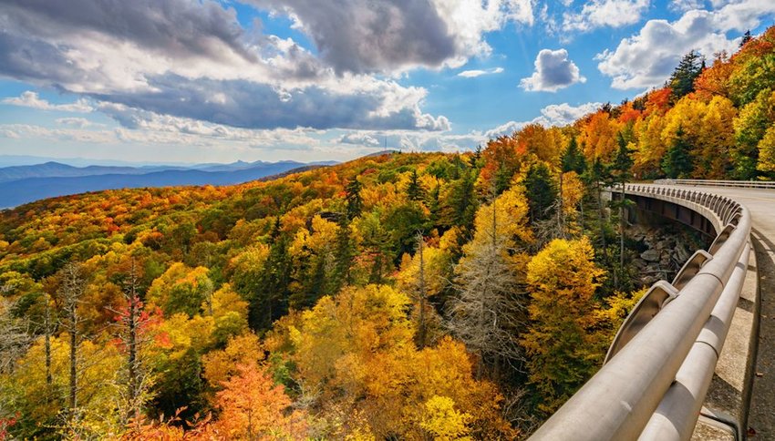 Photo of changing trees and a road