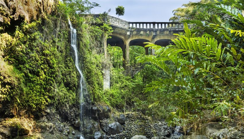 Photo of lush greenery and a waterfall with a road in the background