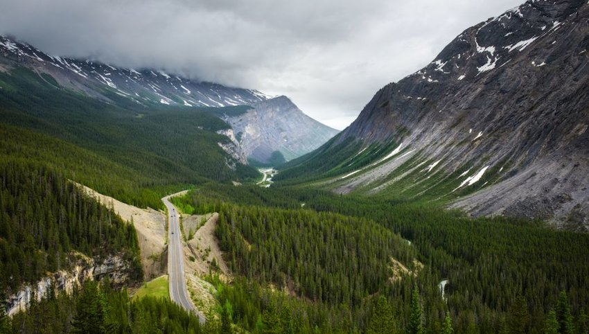 Photo of a road running through forest in Canada with mountains on either side