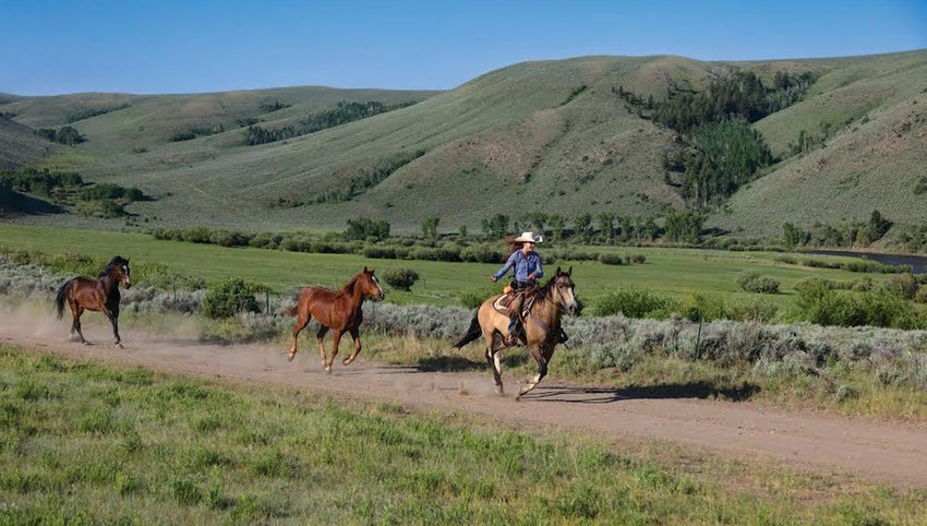 Photo of female cowgirl riding a horse