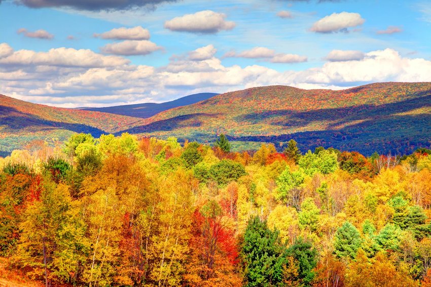 Autumn foliage in the Berkshires region of Massachusetts