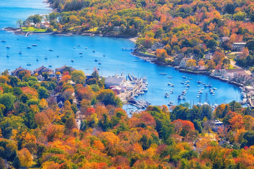 Aerial photo of trees changing color around the Maine coast