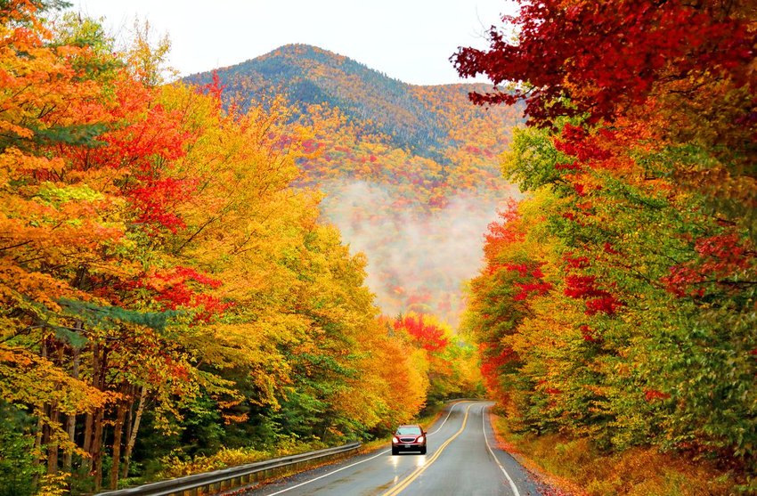 Trees with changing colors along Kancamagus Highway