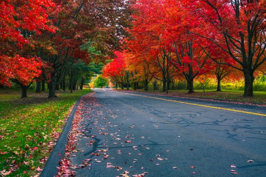 Connecticut Road in Autumn
