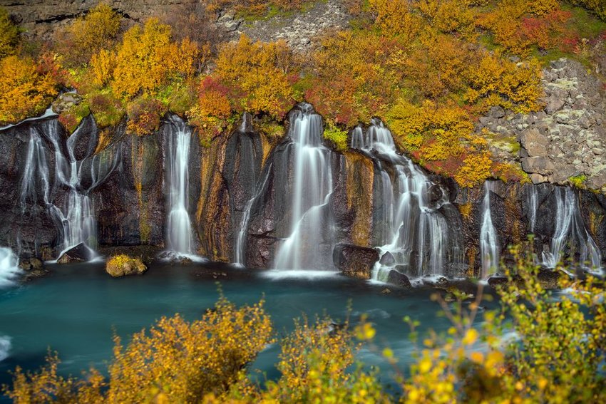 Hraunfossar waterfall in Iceland with trees changing color for autumn