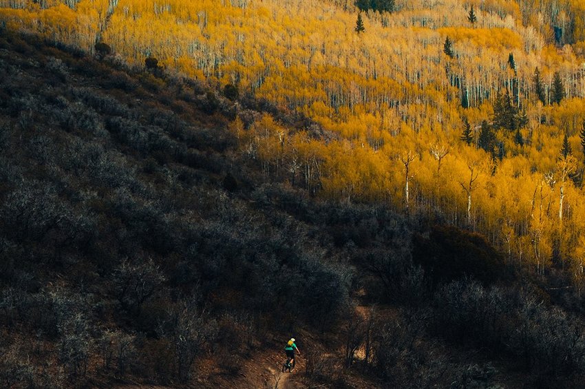 Mountain biker amongst yellow trees