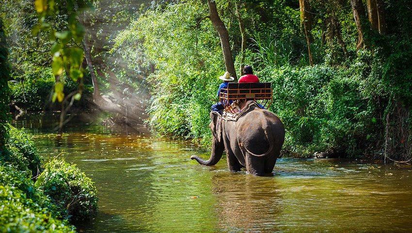 Elephant walking in a river with people riding on it's back
