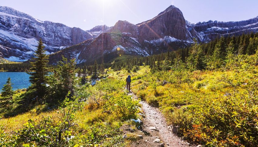 Hiker on a trail in Glacier national park