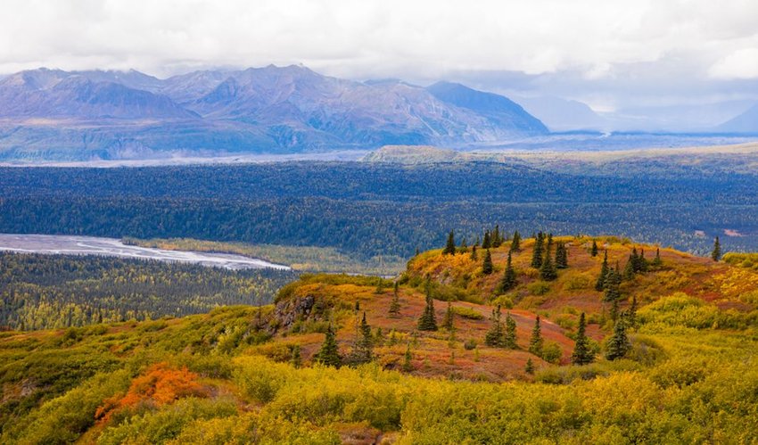 Kesugi Ridge overlooking the Chulitna River valley in Alaska