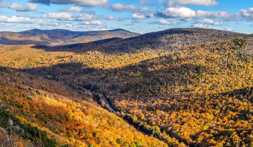 Fall foliage covering mountains along The Long Trail in Vermont