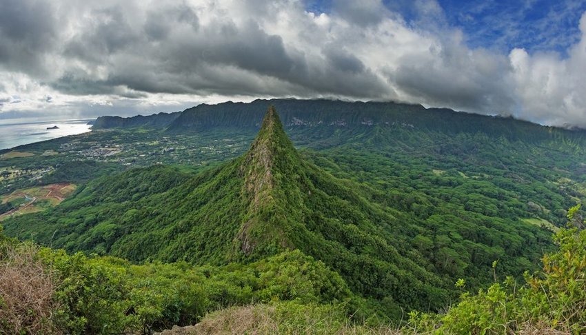 View of vegetation covered Third Olomana Peak