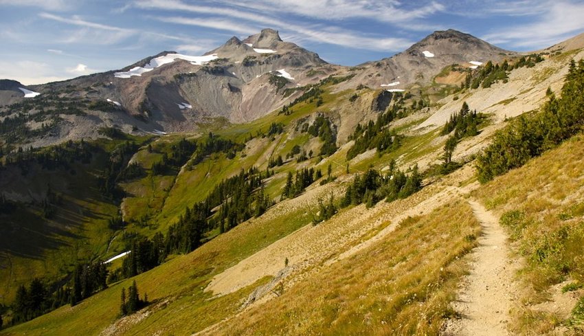 Pacific Crest Trail winds through Cispus Basin in Washington's Goat Rocks Wilderness