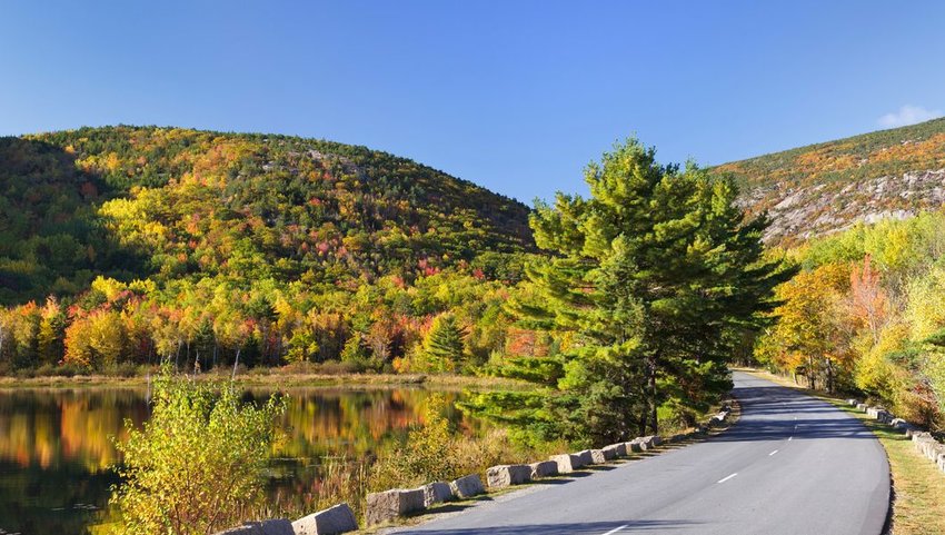 Beaver Dam Pond and Park Loop Road, Acadia National Park, Maine