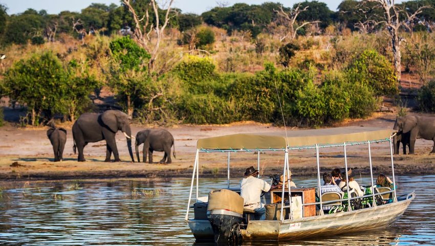 Tourists observing elephants from a boat, Chobe River, Botswana, Africa