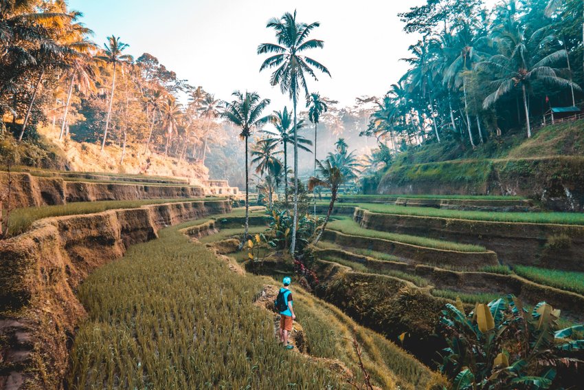 Person traveling with a backpack on in Indonesia