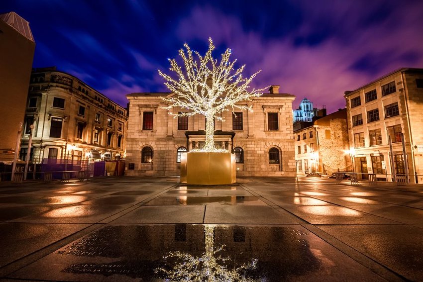 Christmas lights wrapped around a tree in Montreal 