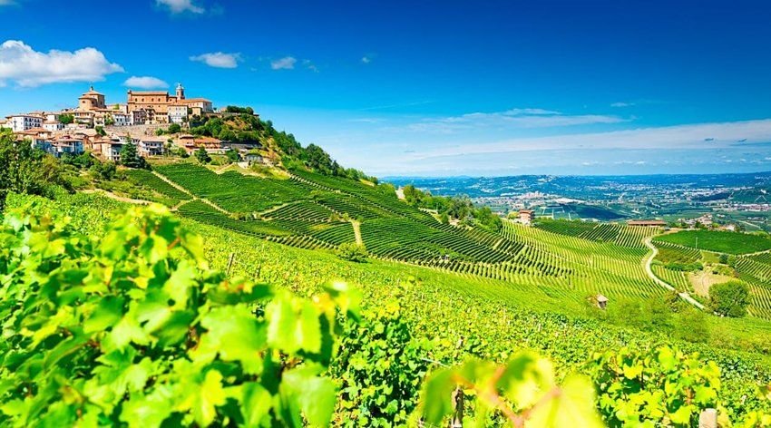 8 Must-Visit Vineyards in Europe