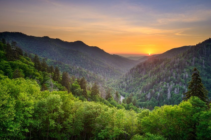  The Great Smoky Mountains Park with a road showing through the trees 