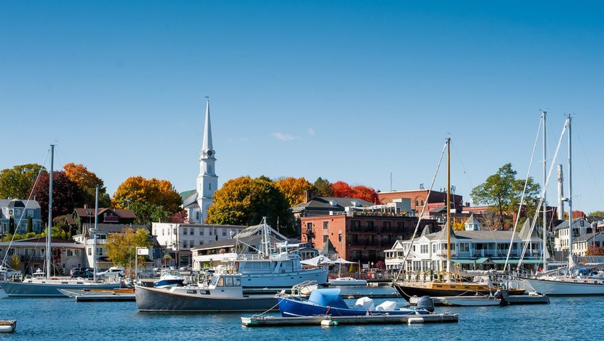 Church steeple and buildings lining the shore with boats docked in front