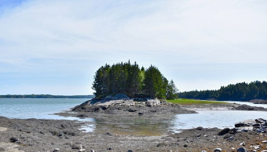  Cobscook Bay State Park, Northern Maine