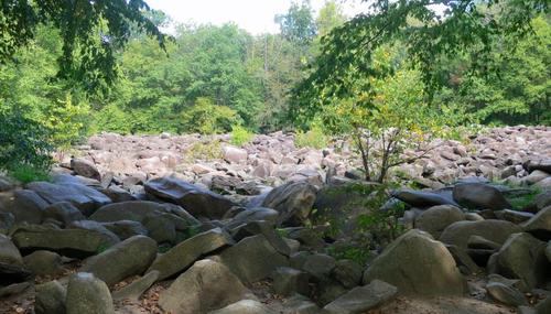 Hundreds of differently shaped rocks surrounded by trees