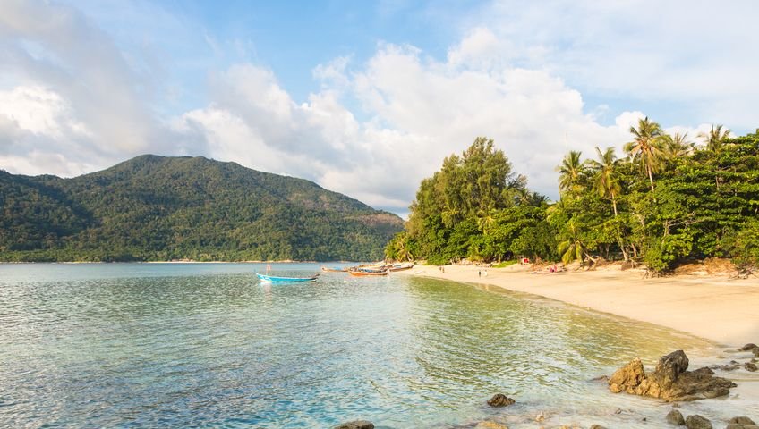 Boats lining the shore at Sunset Beach with green landscape in background