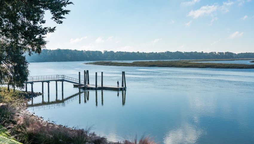 Person standing on a dock with greenery across the water