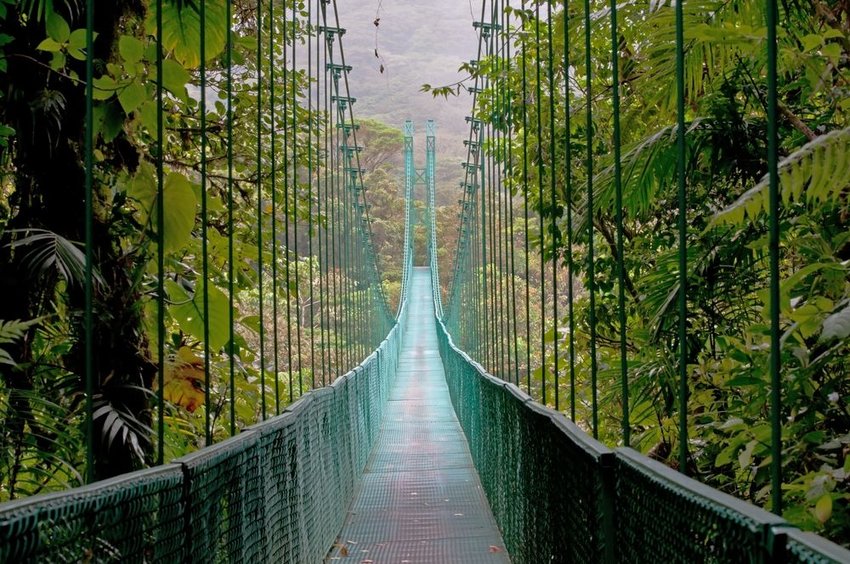 Hanging Bridge, Monteverde Cloud Forest, Costa Rica