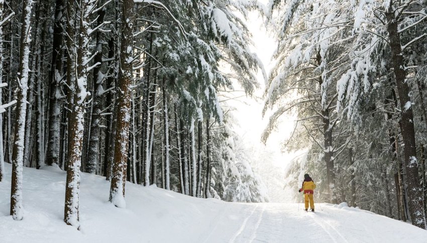 8 Snowy Adventures to Try This Winter