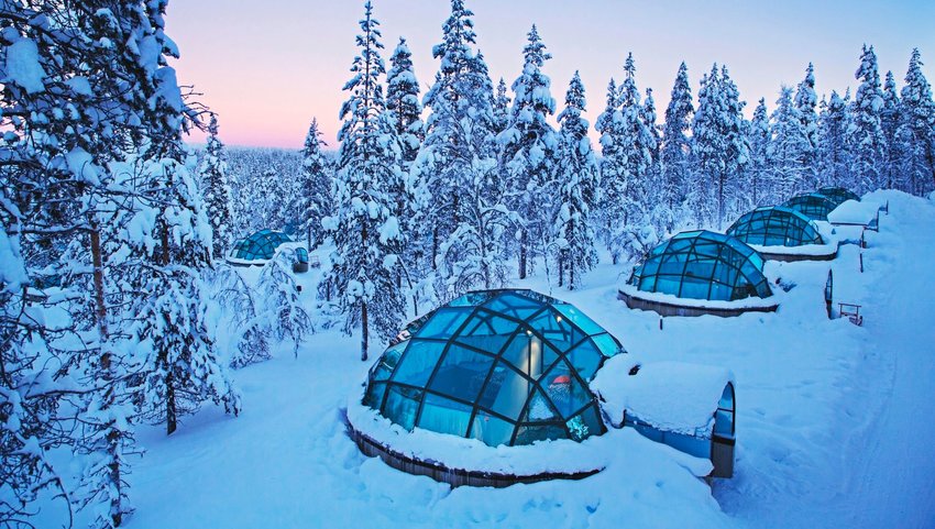 Row of glass igloos surrounded by trees in snow