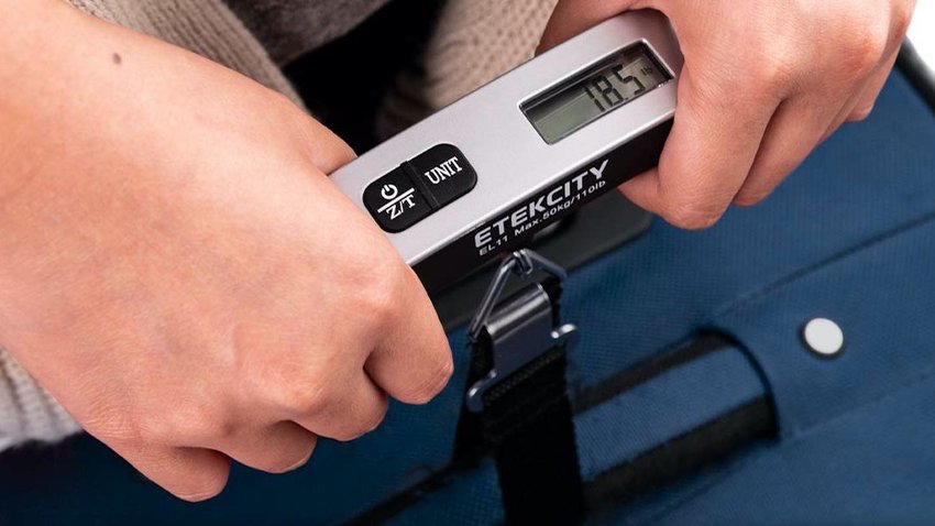 Etekcity Digital Hanging Luggage Scale