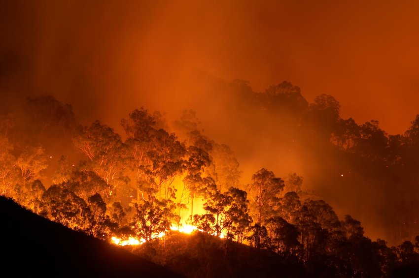 Australia S Bushfires Are Still Burning — Here S How To Help