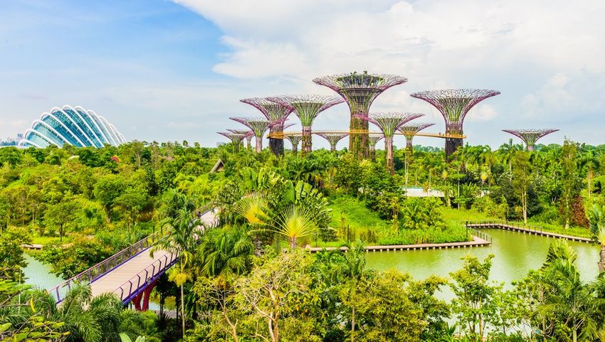 Gardens by the Bay with bridge over water in front