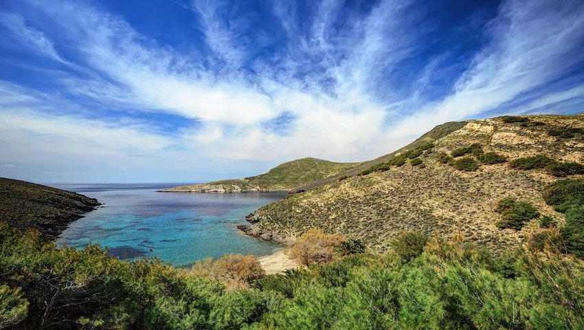 Hidden beach surrounded by green grasses and bushes 