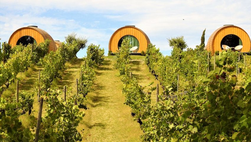 Make Your Next Hotel Stay at a Vineyard